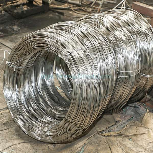 Stainless Steel Others